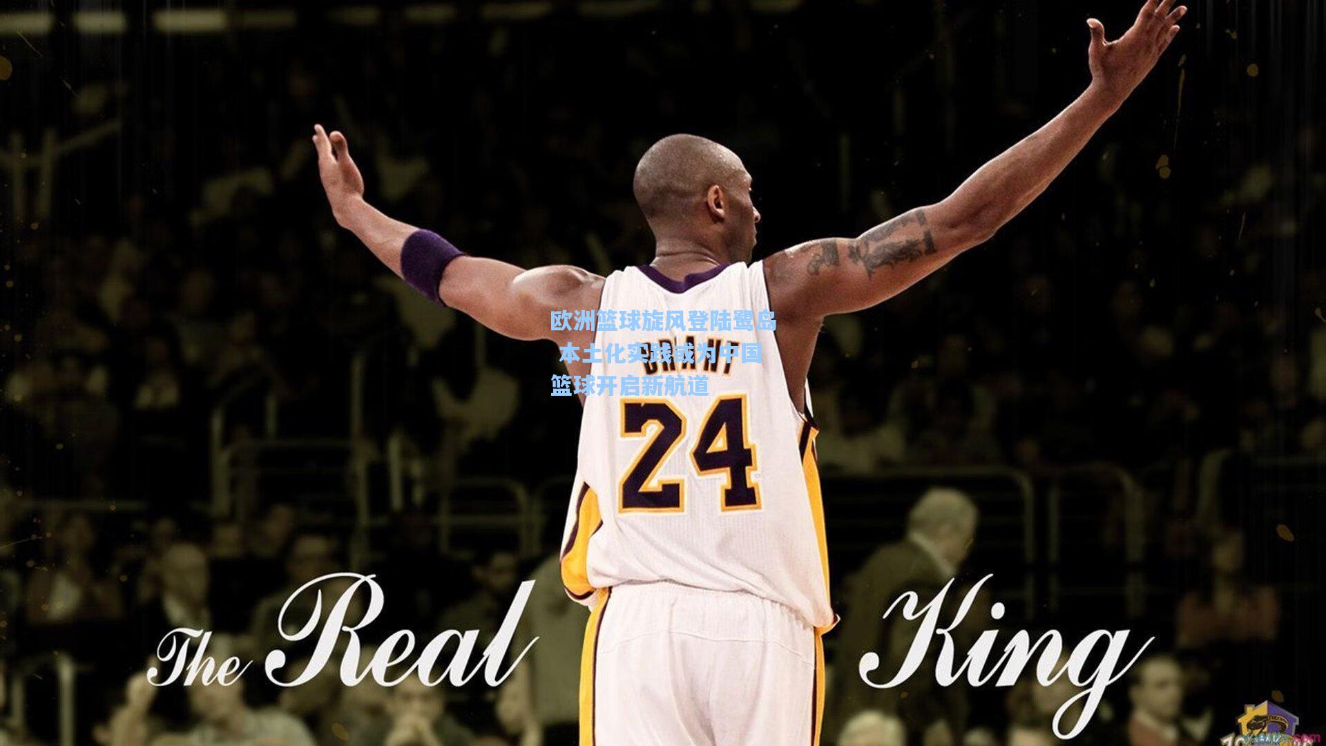 欧洲篮球旋风登陆鹭岛 本土化实践或为中国篮球开启新航道